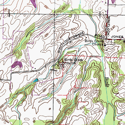 Topographic Map of Birds Creek Church, TN