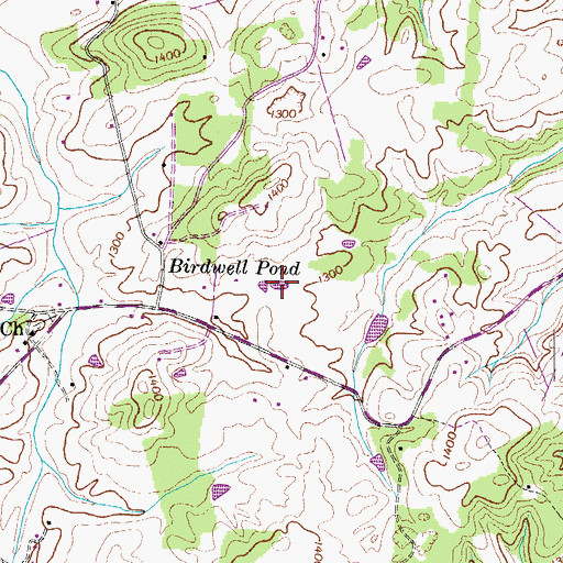 Topographic Map of Birdwell Pond, TN
