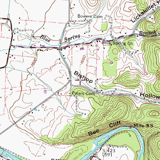 Topographic Map of Bishop Hollow, TN