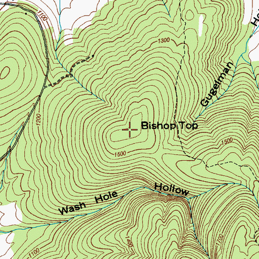 Topographic Map of Bishop Top, TN