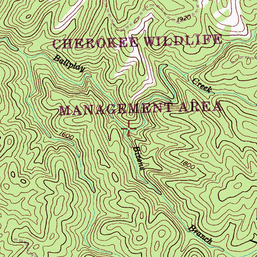 Topographic Map of Bivens Branch, TN