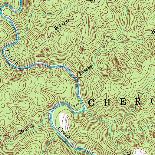 Topographic Map of Bivens Branch, TN