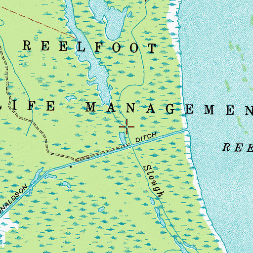 Topographic Map of Black Bayou, TN