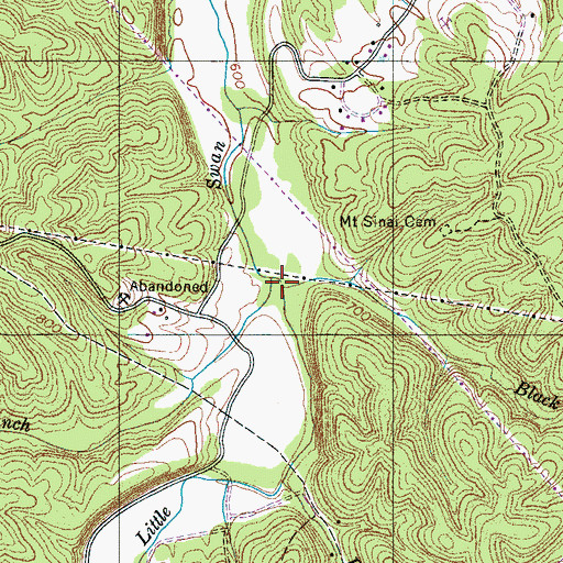 Topographic Map of Black Branch, TN