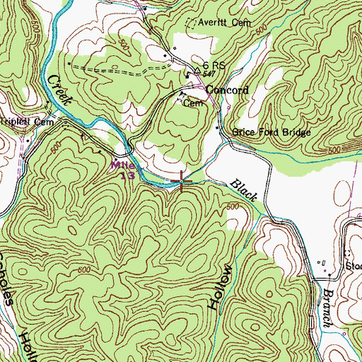 Topographic Map of Black Branch, TN