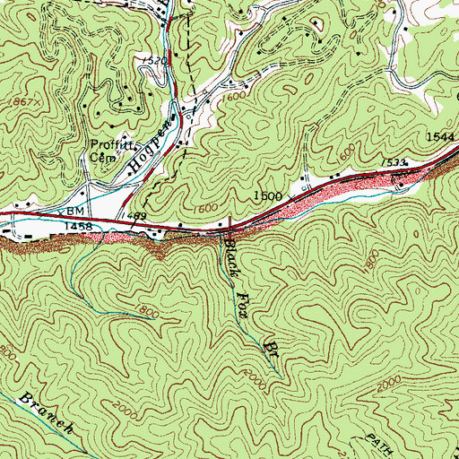 Topographic Map of Black Fox Branch, TN