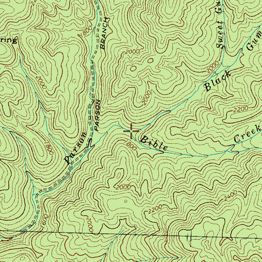 Topographic Map of Black Gum Branch, TN