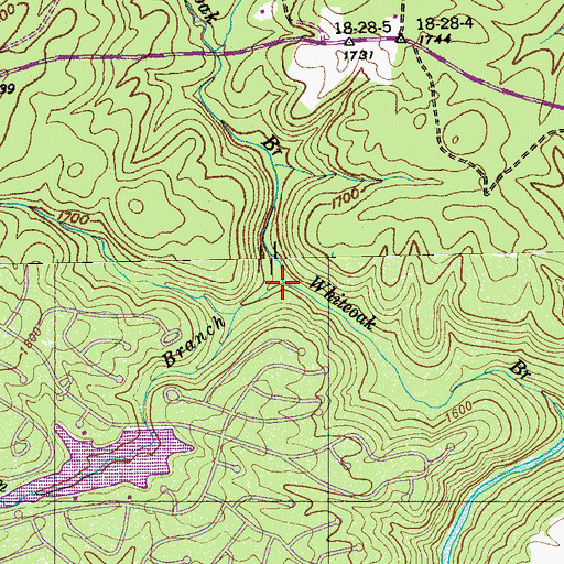Topographic Map of Black Gum Branch, TN