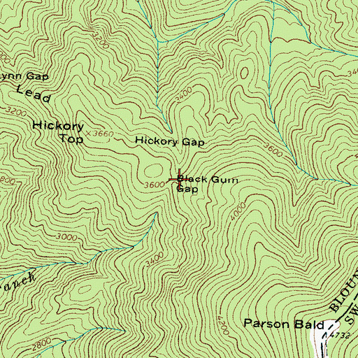 Topographic Map of Black Gum Gap, TN