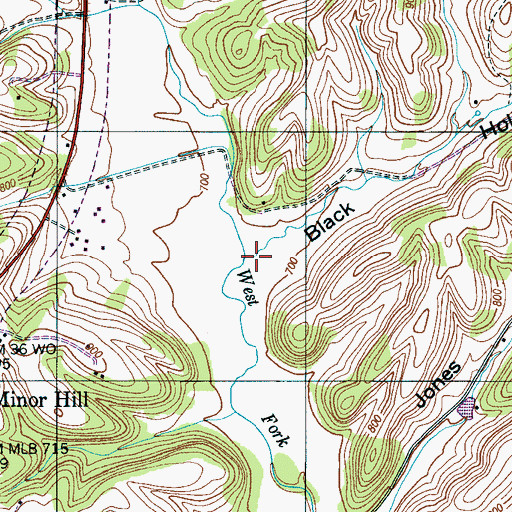 Topographic Map of Black Hollow, TN