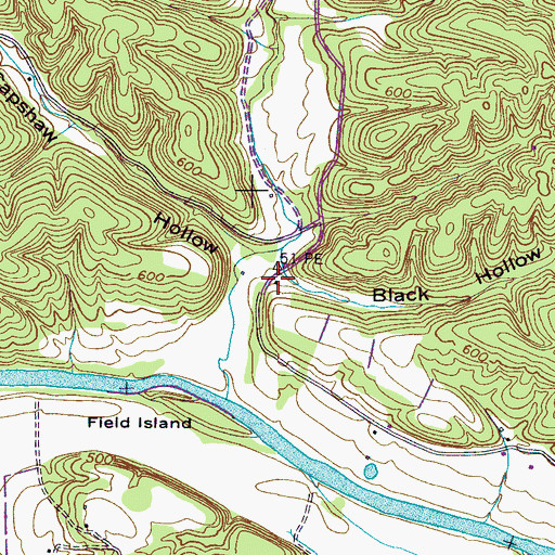 Topographic Map of Black Hollow, TN