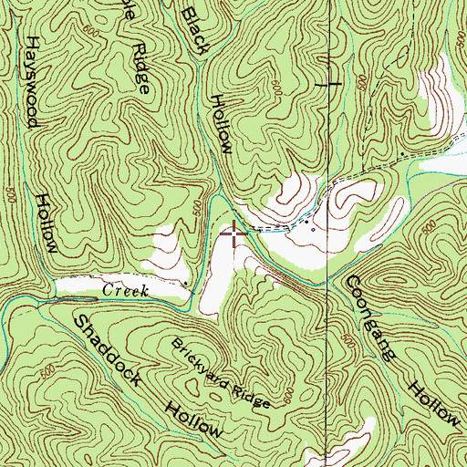 Topographic Map of Black Hollow, TN