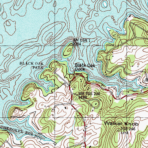 Topographic Map of Black Oak Doock, TN