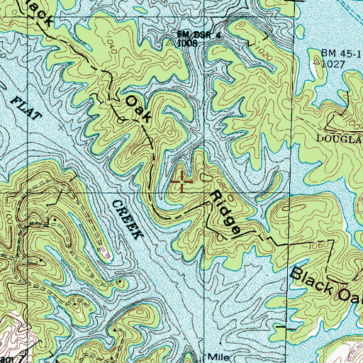 Topographic Map of Black Oak Ridge, TN