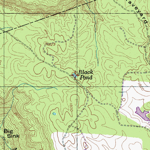 Topographic Map of Black Pond, TN