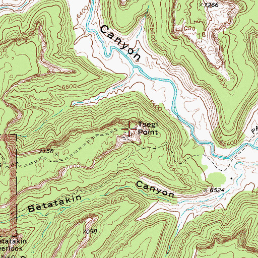 Topographic Map of Tsegi Point, AZ
