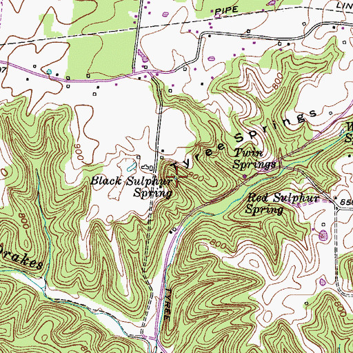 Topographic Map of Black Sulphur Spring, TN