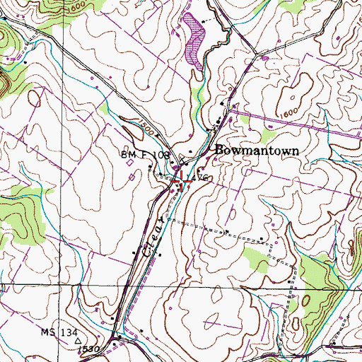 Topographic Map of Blackley Creek, TN