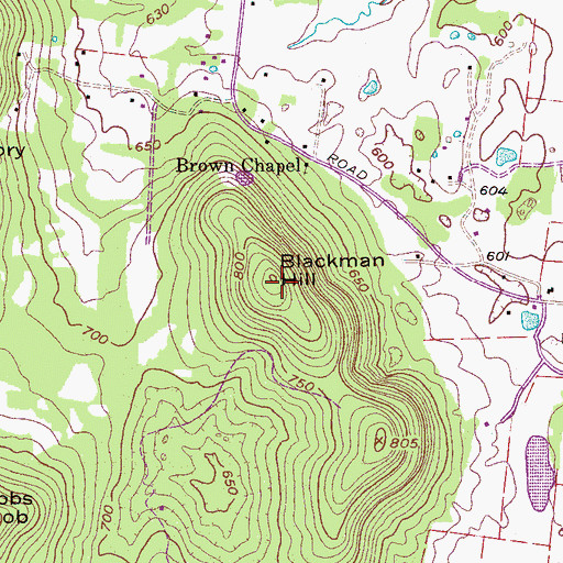 Topographic Map of Blackman Hill, TN