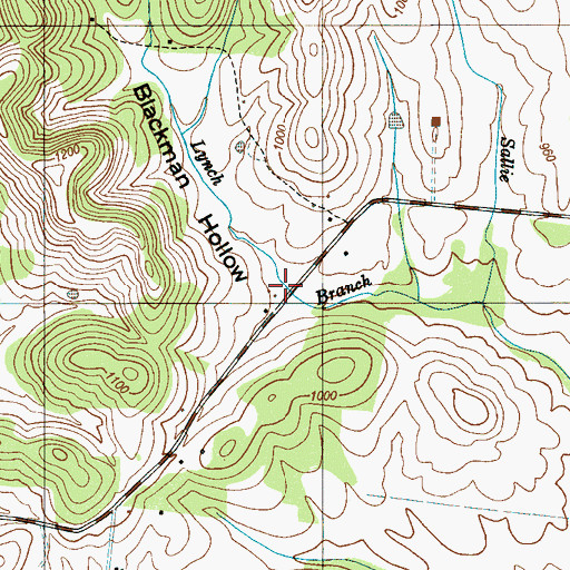 Topographic Map of Blackman Hollow, TN