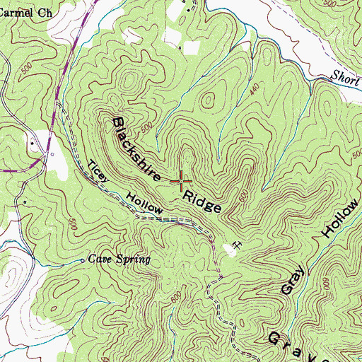 Topographic Map of Blackshire Ridge, TN