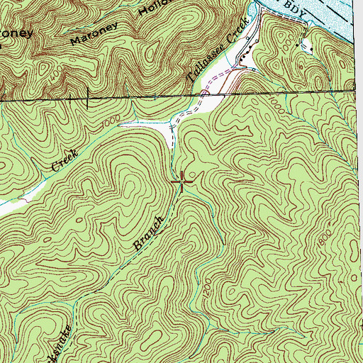 Topographic Map of Blacksnake Branch, TN