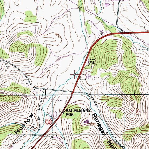 Topographic Map of Bledsoe Hollow, TN