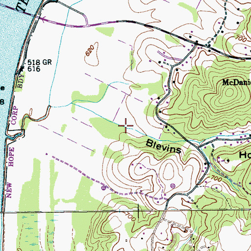 Topographic Map of Blevins Hollow, TN