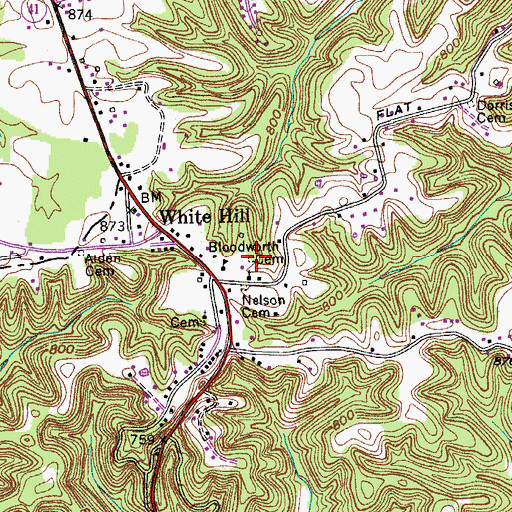 Topographic Map of Bloodworth Cemetery, TN