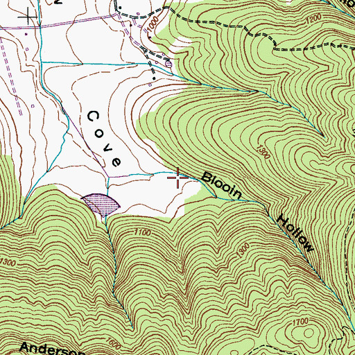 Topographic Map of Blooin Hollow, TN