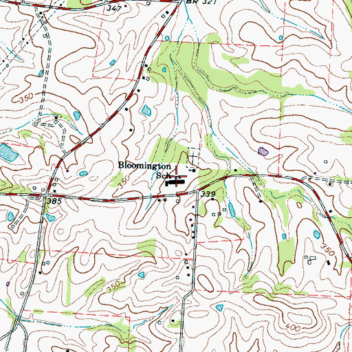 Topographic Map of Bloomington School, TN