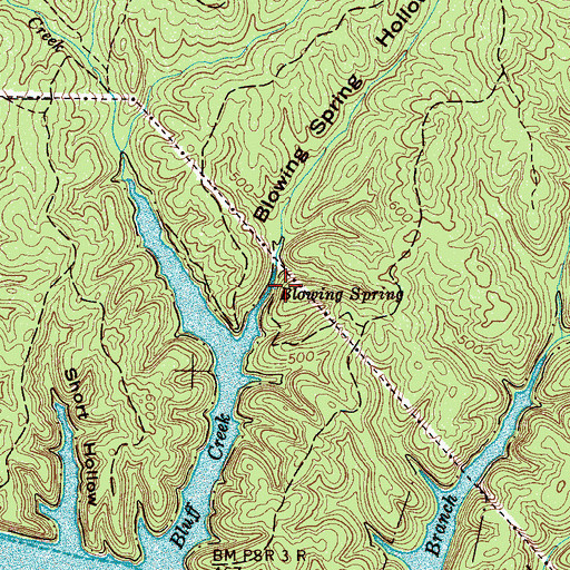 Topographic Map of Blowing Spring, TN