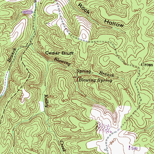 Topographic Map of Blowing Spring, TN