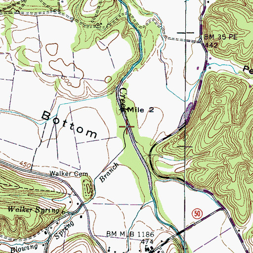 Topographic Map of Blowing Spring Branch, TN