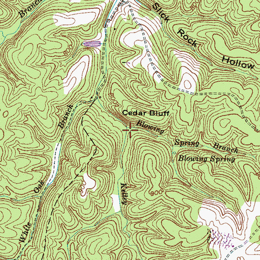 Topographic Map of Blowing Spring Branch, TN
