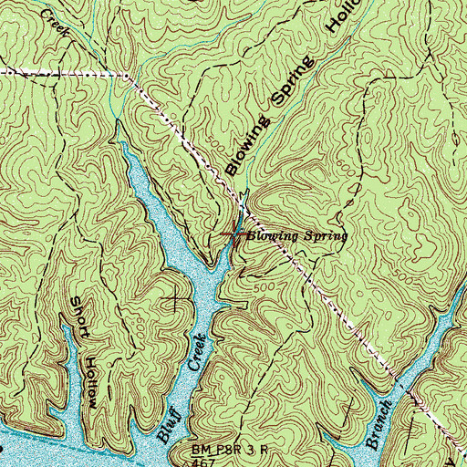 Topographic Map of Blowing Spring Hollow, TN
