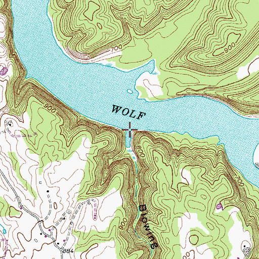 Topographic Map of Blowing Springs Hollow, TN