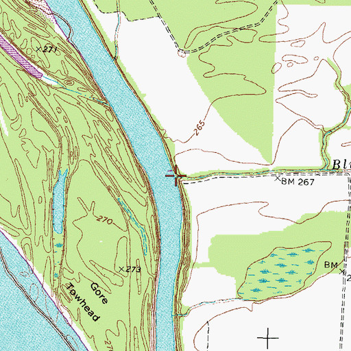 Topographic Map of Blue Bank Bayou, TN