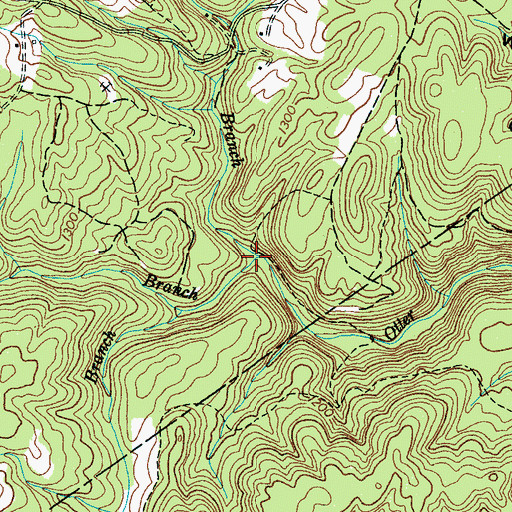 Topographic Map of Blue Branch, TN