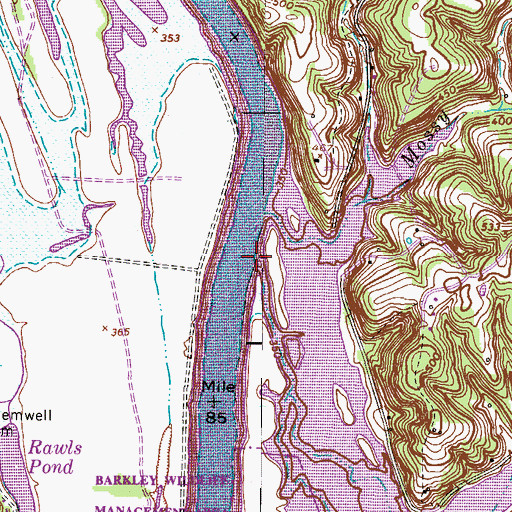 Topographic Map of Blue Creek, TN