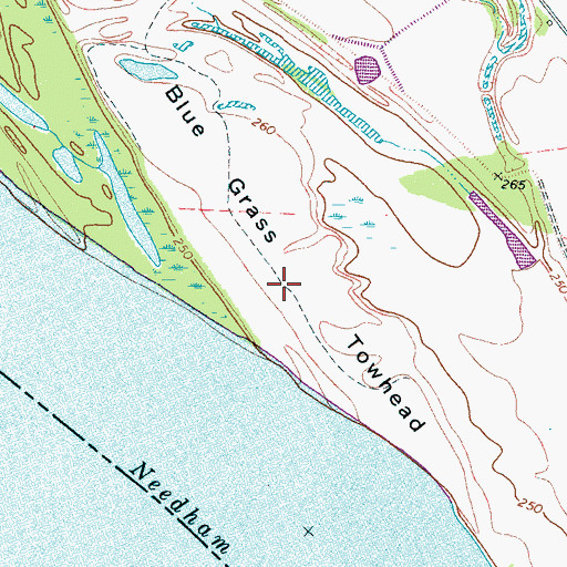 Topographic Map of Blue Grass Towhead, TN
