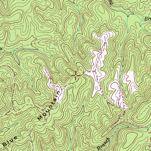 Topographic Map of Blue Mountain, TN