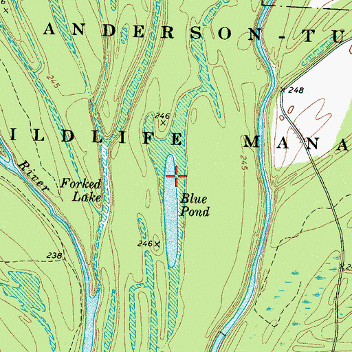 Topographic Map of Blue Pond, TN