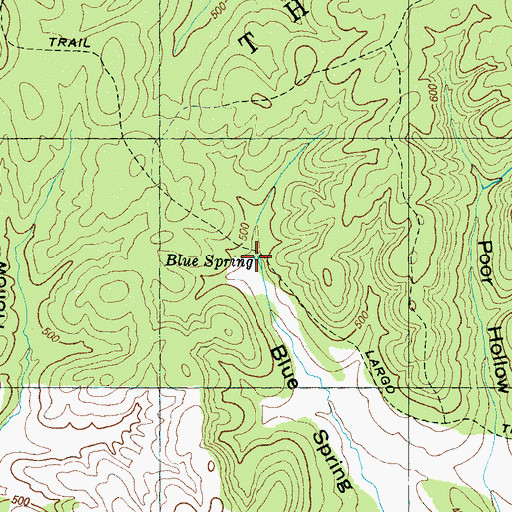 Topographic Map of Blue Spring, TN