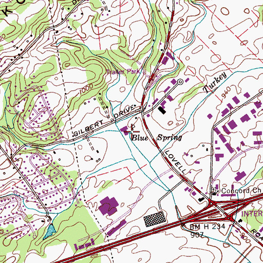 Topographic Map of Blue Spring, TN