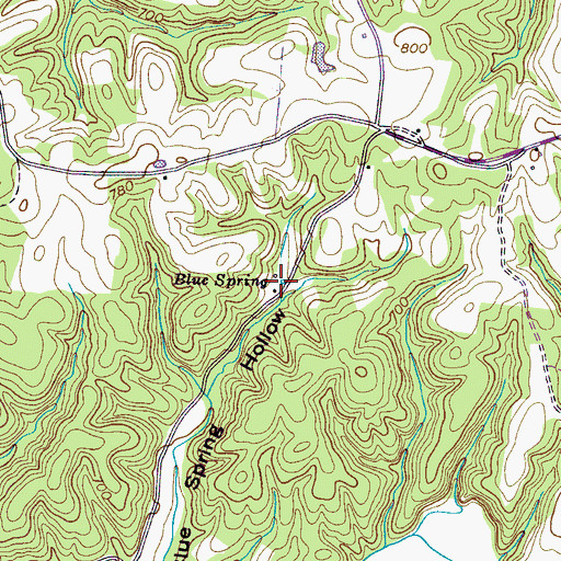 Topographic Map of Blue Spring, TN