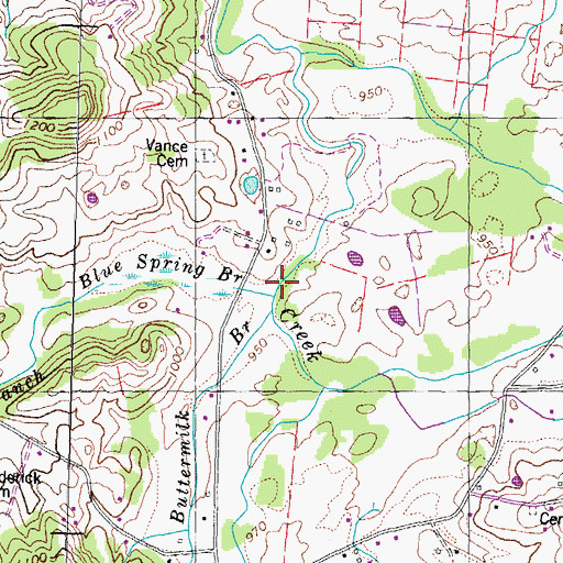 Topographic Map of Blue Spring Branch, TN