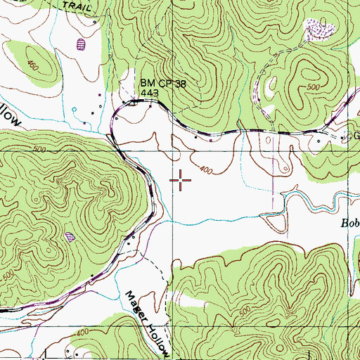 Topographic Map of Blue Spring Hollow, TN