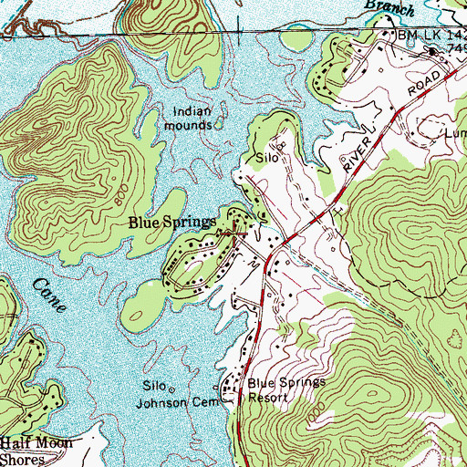 Topographic Map of Blue Springs, TN