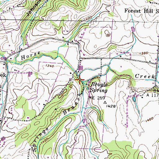 Topographic Map of Blue Springs Branch, TN